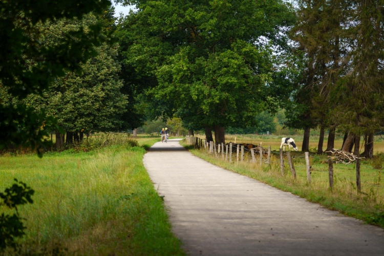 In de omgeving
